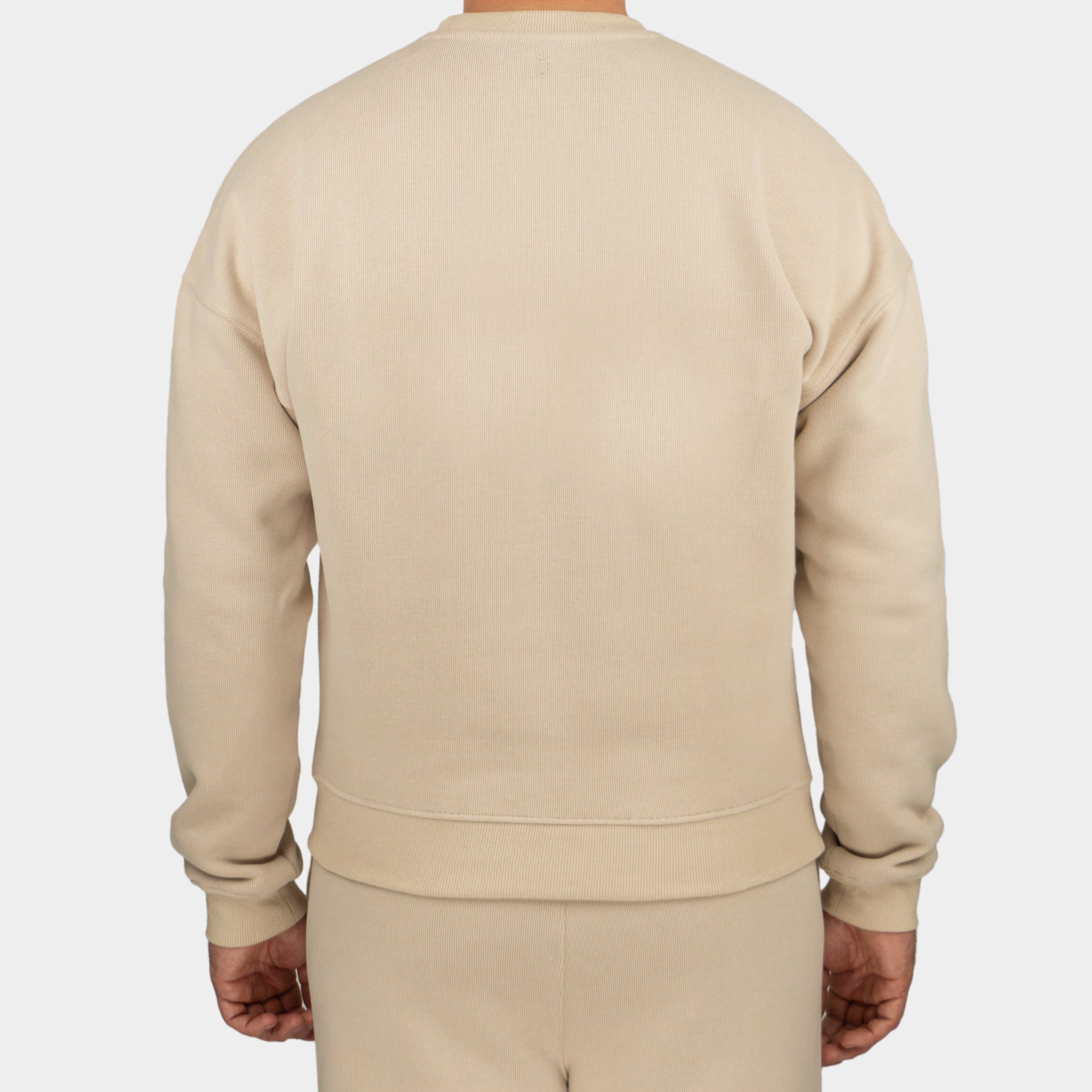 Beige men´s Baze Dessert sweater - model back view