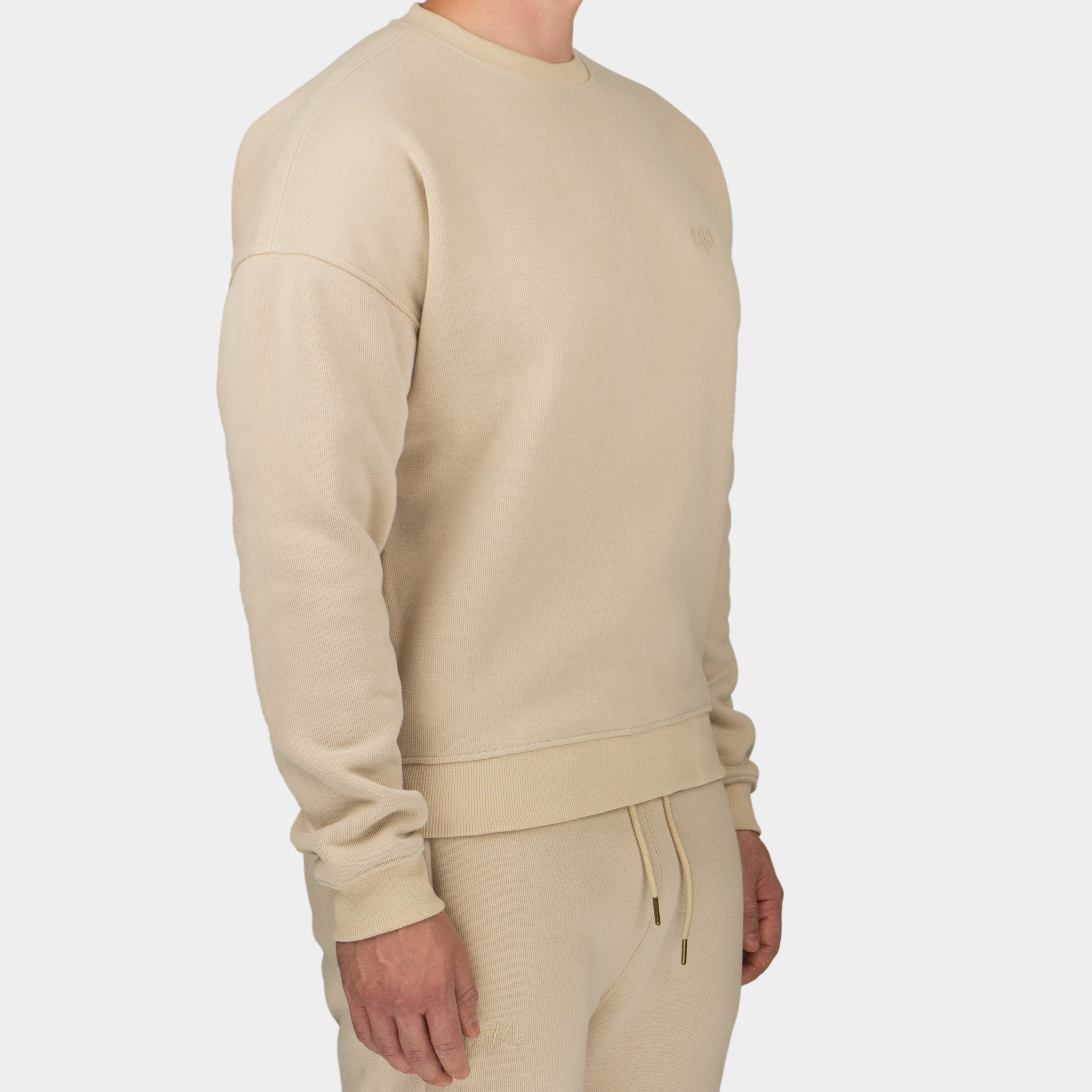 Beige men´s Baze Dessert sweater - model front view
