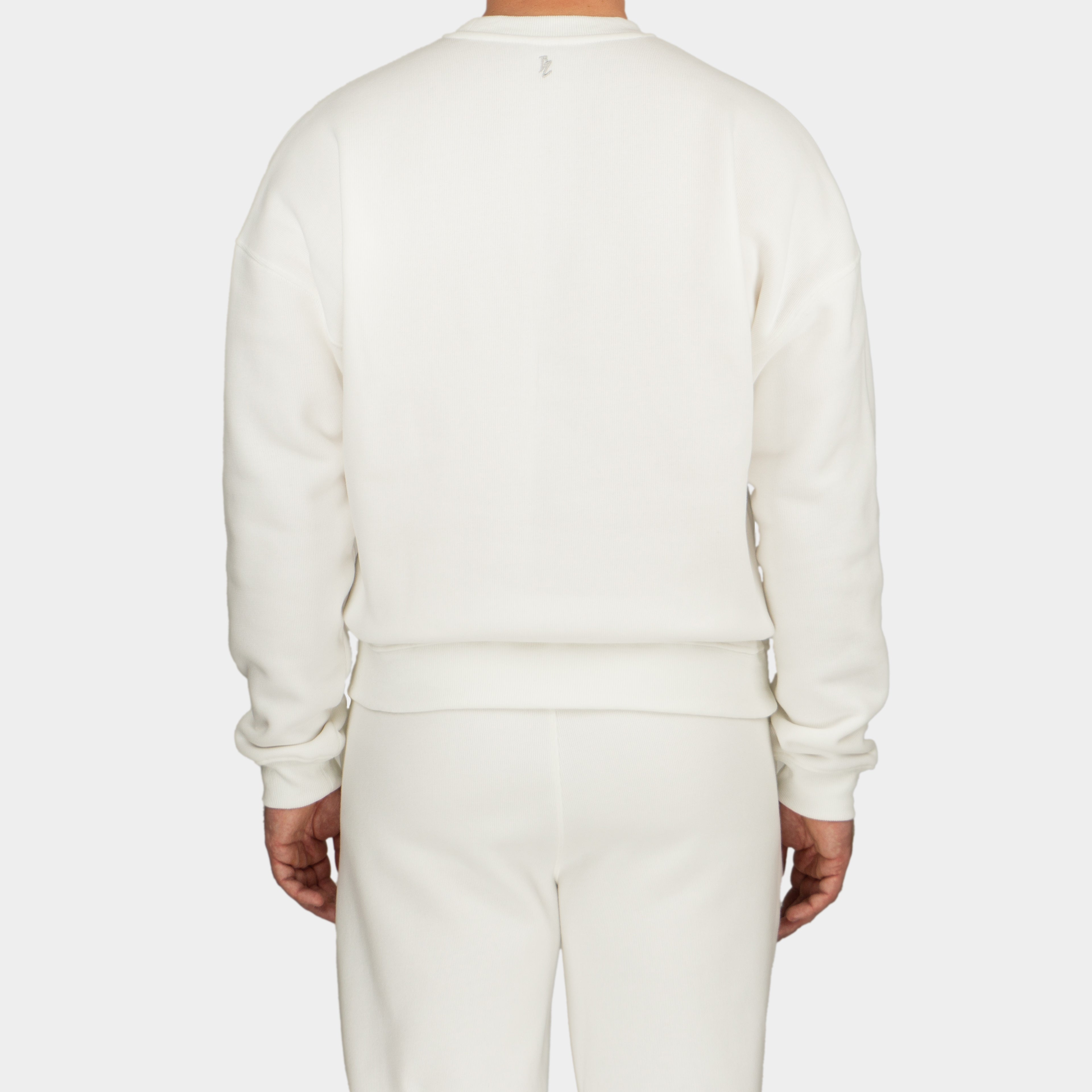 White men´s Baze Ghost sweater - model back view