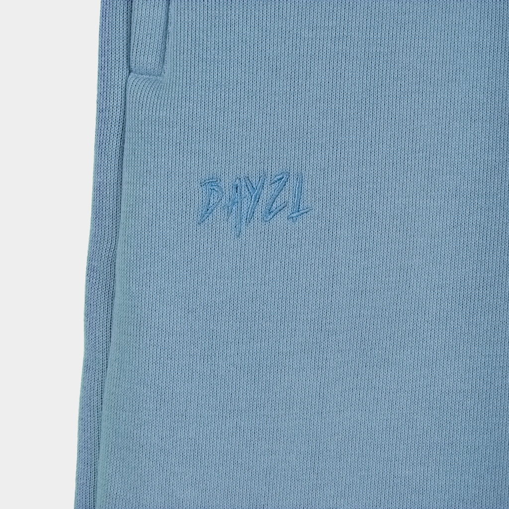 Blue Baze Skyline pants - logo view