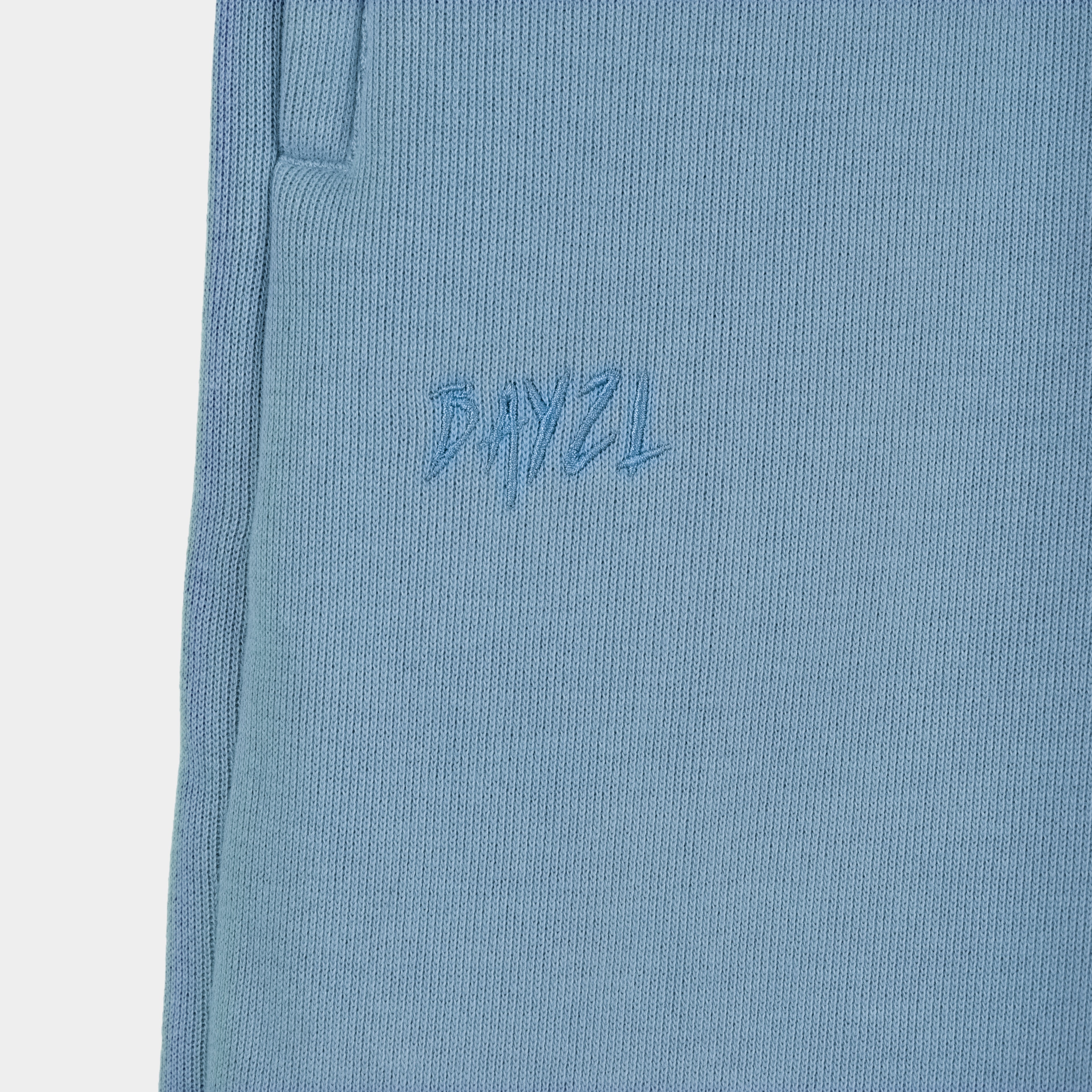 Blue Baze Skyline pants - logo view